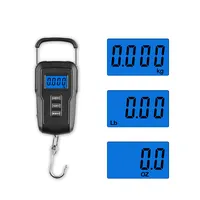 Weiheng Wh-a25 Rechargeable Portable Electronic Scale LCD Display Luggage Scale Multi-Unit Conversion Retractable Storage Handle 55kg Double Accuracy