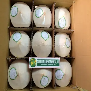 CHEAPEST PRICE OF GREEN COCONUT FROM VIETNAM !!! TOP SALE