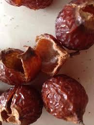 Wholesale Soapnuts Organic Soap <b>Nuts</b> HOLIDAY - Product Image 4