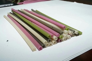 Pajitas de arroz orgánico vietnamita, accesorios ecológicos para Bar y vino de Ms Sophie - Product Image 3