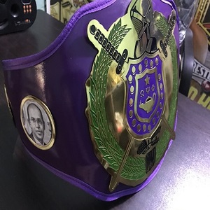 เข็มขัดแชมป์ยูโดแบบกำหนดเองสำหรับศิลปะการต่อสู้ - Product Image 4