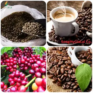 Вьетнамский КОФЕ Robusta 1 класса SCR 18 WP