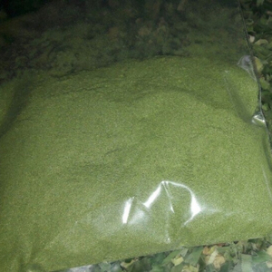 Poudre de pin/PANDAN-pandan vietnamien/poudre de haute qualité/multifonction - Product Image 2