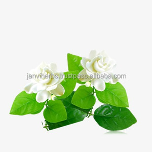 น้ำมันหอมระเหยบริสุทธิ์จากดอกมะลิออร์แกนิกเกรดบำบัดฉลากส่วนตัวสำหรับน้ำมันหอมระเหยเครื่องสำอาง - Product Image 4