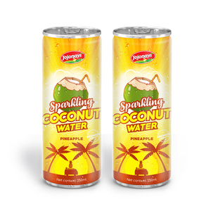 Puré de Agua de Coco Espumosa, Certificado Halal, 100% Puro, Lata de Aluminio de 250 ml, Marca JOJONAVI, Servicio ODM, Precio al por Mayor - Product Image 5
