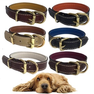 Collier pour chien rembourré en cuir véritable, confortable, Double couche, couleur, boucles durables de haute qualité, produits de luxe pour animaux de compagnie - Product Image 2