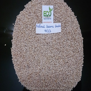 Sésamo Blanco, Bolsa de 50 kg, Empaque de Primera Calidad, Color Puro, Origen Natural, Tipo Natural, Grado de Duración Natural, Sésamo Blanco - Product Image 1