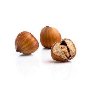 Fournisseur en gros d'huile de noix de hêtre italienne pressée à froid certifiée GMP, prix de gros, produit de haute qualité pour les achats en vrac - Product Image 4