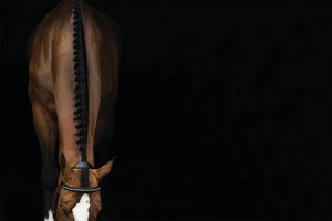 Cristaux décoratifs de bride de saut de cheval de Micklem avec le matériel en cuir pliable - Product Image 4