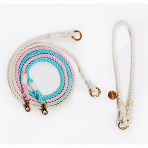 Double <b>Leash</b>, <b>Leash</b> for Two Dogs, Pastel Ombre <b>Leash</b> - Product Image 1