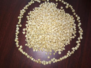 Maïs blanc non OGM alimentation humaine/alimentation animale à vendre - Product Image 4