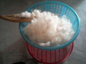 Fibra de Kapok de Vietnam para Almohadas - Product Image 5