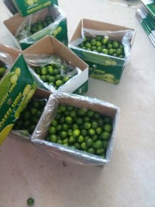 Citron vert juteux et sans pépins/citron avec Premium Grade-Prix bon marché - Product Image 5