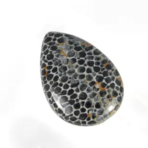 Black Coral 24x17mm Pear Cabochon 14.30 Cts Loose Gemstone Making For Jewellery IG10311
