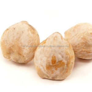 Fournisseur indien, huile de noix Kukui de meilleure qualité pour huile de support naturelle - Product Image 3