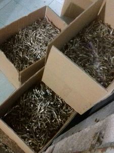 PESCADO ANCHOVY SECO-Ms Lima - Product Image 5