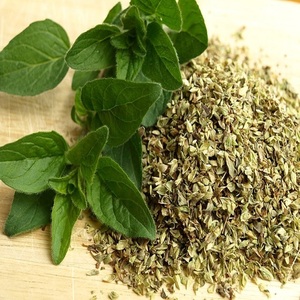 Fabricant en vrac approuvé par les GMP d'huile essentielle d'origan huile d'arbre à thé pour une utilisation en aromathérapie dérivée de feuilles d'origan - Product Image 4