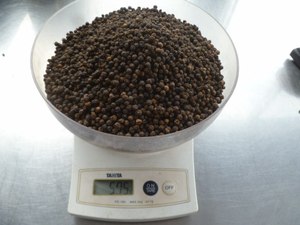 พริกไทยดำข้าวโพดอบแห้งแบบดิบแปรรูปจากเวียดนาม - Product Image 6