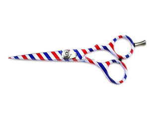 ชุดกรรไกรตัดผมขนาด6นิ้ว,กรรไกรตัดผมทำจากสเตนเลสสตีลสำหรับมืออาชีพแบบพิมพ์ลายเสาสำหรับช่างตัดผม - Product Image 3