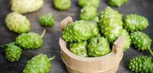 Jus de fruit de noni de pureté 100%-Meilleur prix - Product Image 5