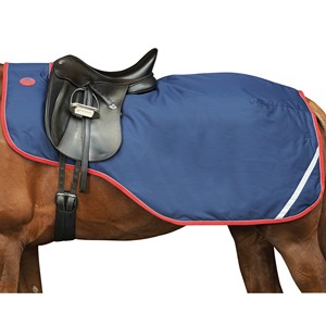 Fabricante Mayorista de Mantas de Ejercicio para Caballos de Alta Calidad Modelo AIES-003 Primavera y Otoño - Product Image 1