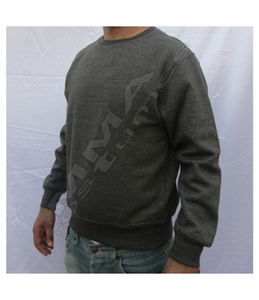 Sweat-shirt unisexe de haute qualité de style MMA avec logo personnalisé, vente en gros de quantité en vrac pour application de gym pour enfants - Product Image 1