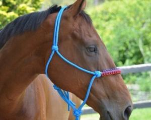 ชุดสายจูงม้าพร้อมเชือกยาว 2 เมตร ชุดสายจูงฝึกม้าที่ทนทาน - Product Image 4