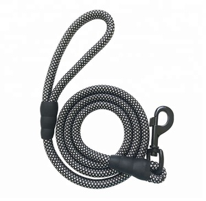 Laisse en Nylon pour chien, robuste et épais, laisse pour animaux de compagnie, 5 pieds - Product Image 2