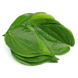 Huile essentielle de feuille de bétel organique naturelle et pure 100% Fabricant en vrac et OEM Marque privée Huile antibactérienne digestive et de soin de la peau - Product Image 3