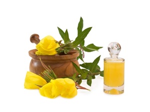 Aceite de Onagra Prensado en Frío de Primera Calidad, Certificado GMP, Aceite Portador de la India para la Salud y el Bienestar - Product Image 3