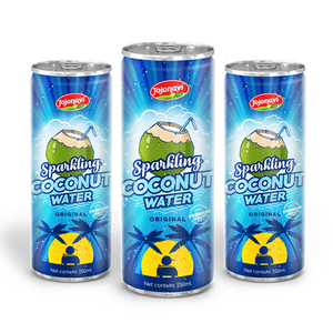 Puré de Agua de Coco Espumosa, Certificado Halal, 100% Puro, Lata de Aluminio de 250 ml, Marca JOJONAVI, Servicio ODM, Precio al por Mayor - Product Image 2