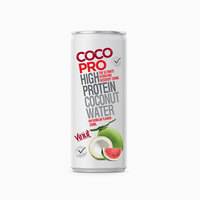 Eiwitrijk 250Ml Ingeblikt Kokoswater Met Sinaasappelsmaak Oem/Odm Service Gratis Monster Gratis Logo Ontwerp Goedkope Prijs