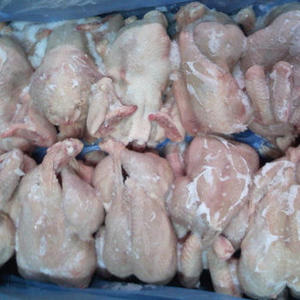 Pollo completo de congelación Halal, 2021 - Product Image 3