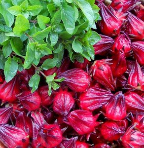 ดอกอาร์ติโชคสำหรับชงชาในวันหยุด - Product Image 5