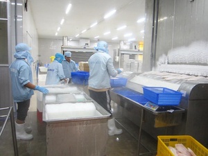 926สกินปลาแช่แข็ง/หนังปลาสวาย/ลิลลี่84 905 612 - Product Image 2