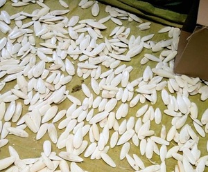 Mực xương với kim loại Clip động vật thức ăn cho ngựa gia súc lợn con chó (MS <span class=keywords><strong>pheebs</strong></span>) - Product Image 3