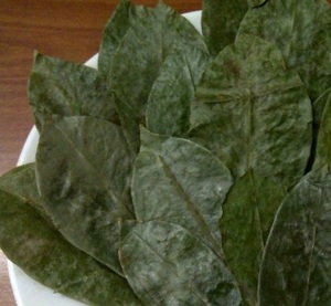 Viet Delta Company, Proveedor Mayorista de Guanábana de Vietnam - Product Image 1