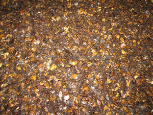 Super materiales para quemar/residuos de concha de anacardo - Product Image 2