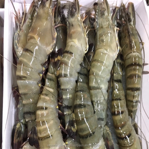 Meilleur conservateur probiotique pour poissons sous forme de poudre pour l'aquaculture et les écloseries en provenance de Chine - Product Image 2