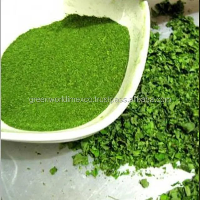 100% NATURAL PANDAN LEAF POWDER - THE BEST COMPETITIVE PRICE