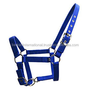 Type de sangle en cuir de cheval - Product Image 4