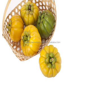 Halal Garcinia cambogia สกัดผงกรดไฮดรอกไซซิทริกสำหรับลดน้ำหนักตัวทำละลายสกัดอาหารเสริมสมุนไพรสกัดในบรรจุภัณฑ์แบบถัง - Product Image 1