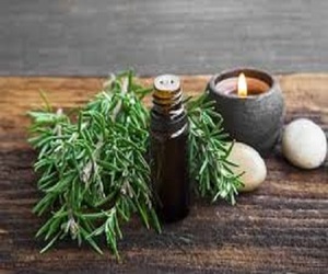 <b>Rosemary</b> <b>Oil</b> in Bulk for Sale - Product Image 1