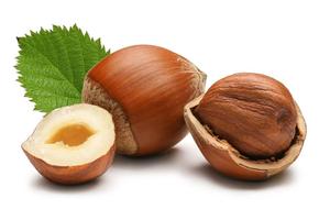 AARNAV GLOBAL EXPORTS Huile de noisette pressée à froid italienne certifiée GMP, en vrac, à prix économique - Product Image 2