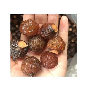 Nueces de Jabón Orgánicas 100% Secas, Temporada de Cosecha en Vietnam - Product Image 4