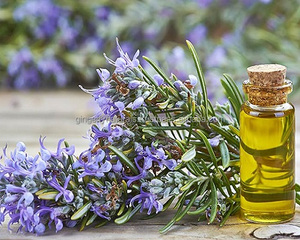 Indian Rosemary Oil - Product Image 1