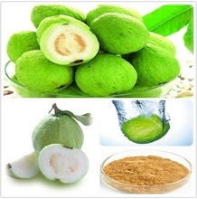<b>GUAVA</b> POWDER Vietnamse Premium Quality <b>Guava</b> Powder Holiday - Product Image 6