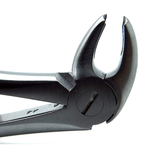Forceps dentaires à poignée moletée pour chirurgie d'extraction dentaire, instrument allemand en acier inoxydable 2026 - Product Image 5