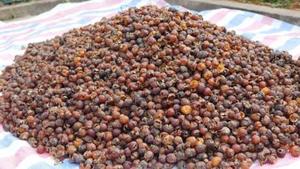 Hạt Xà Phòng Nguyên Chất Hữu Cơ/Xà Phòng Lỏng-Ms: Kỳ Nghỉ - Product Image 2