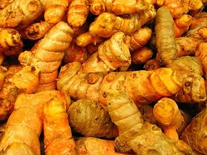 FÉNICA DE CÚRCUMA ORIGINAL DE VIETNAM / EXTRACTO DE CÚRCUMA / HARINA DE CÚRCUMA - Product Image 5